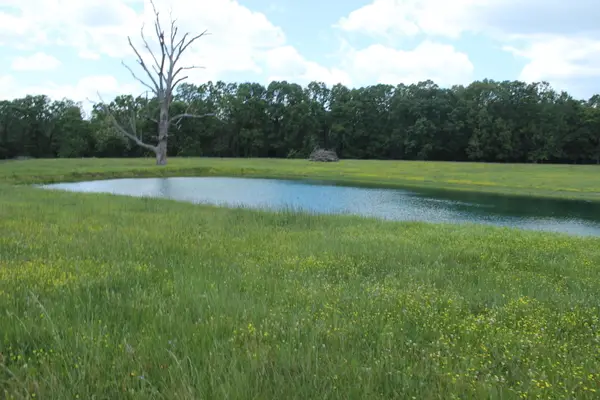000 W Highway, Thayer, MO 65791