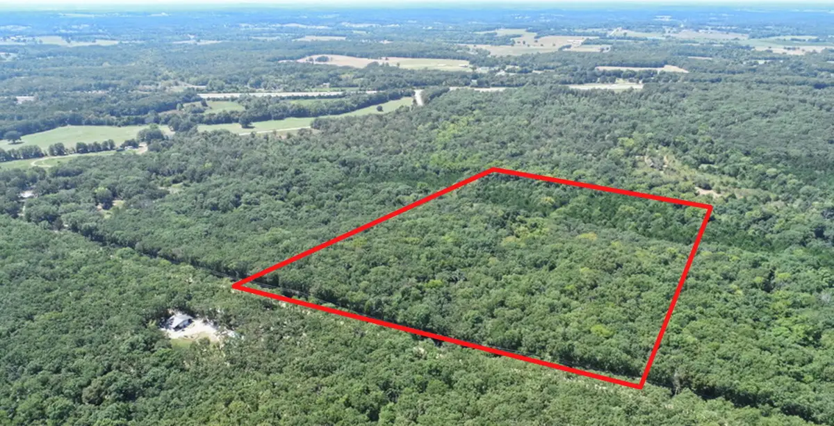 000 SE 871 Road, Collins, MO 64738 - #1