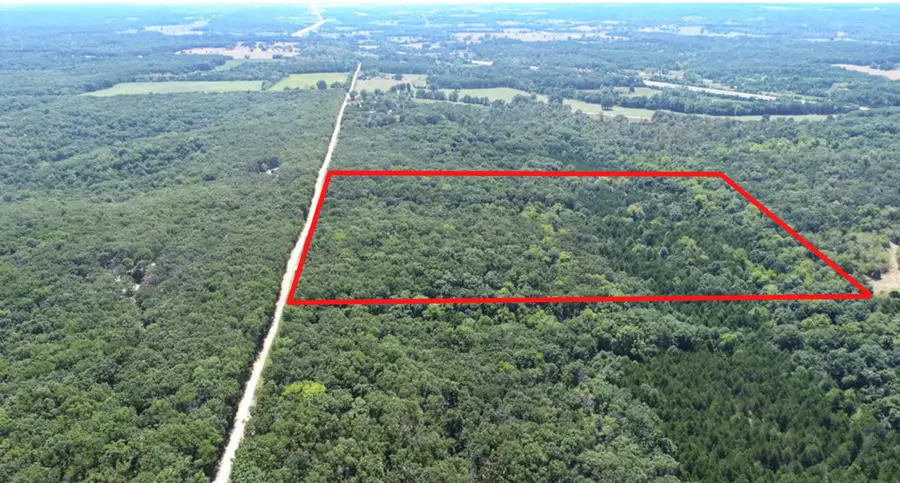 000 SE 871 Road, Collins, MO 64738 - #3