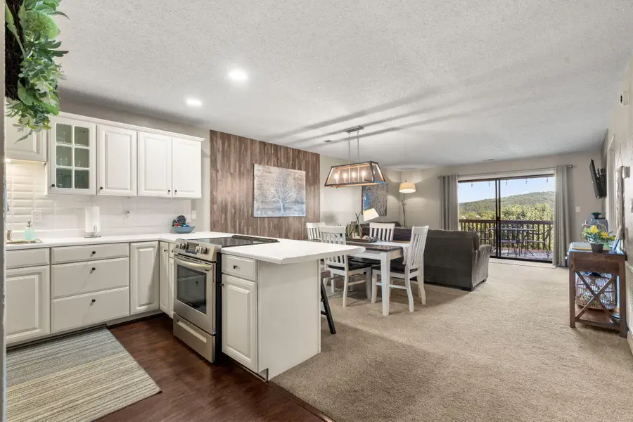 161 Avondale Drive #5, Branson, MO 65616 - #3