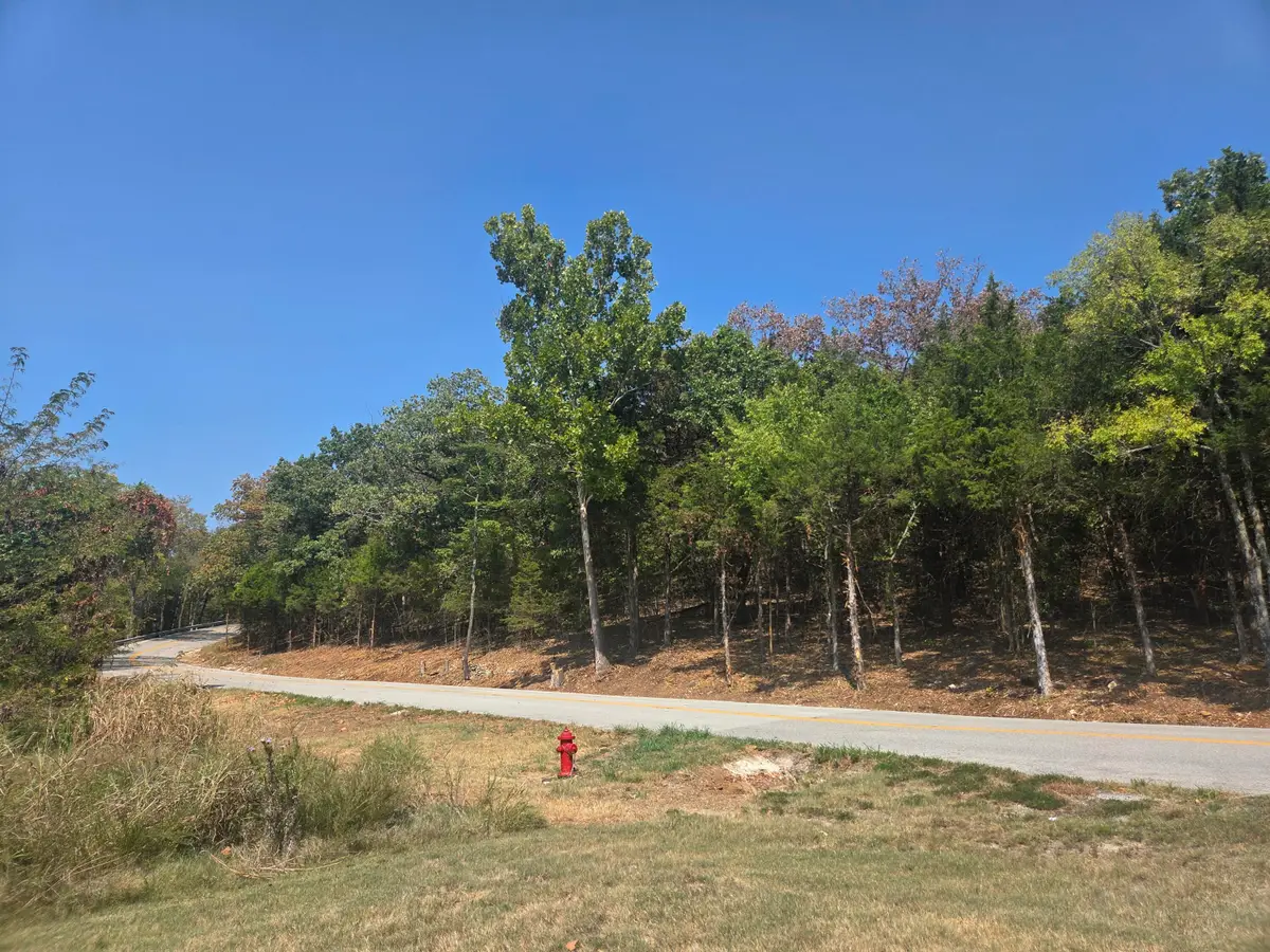 000 Cahill Road, Branson, MO 65616 - #1