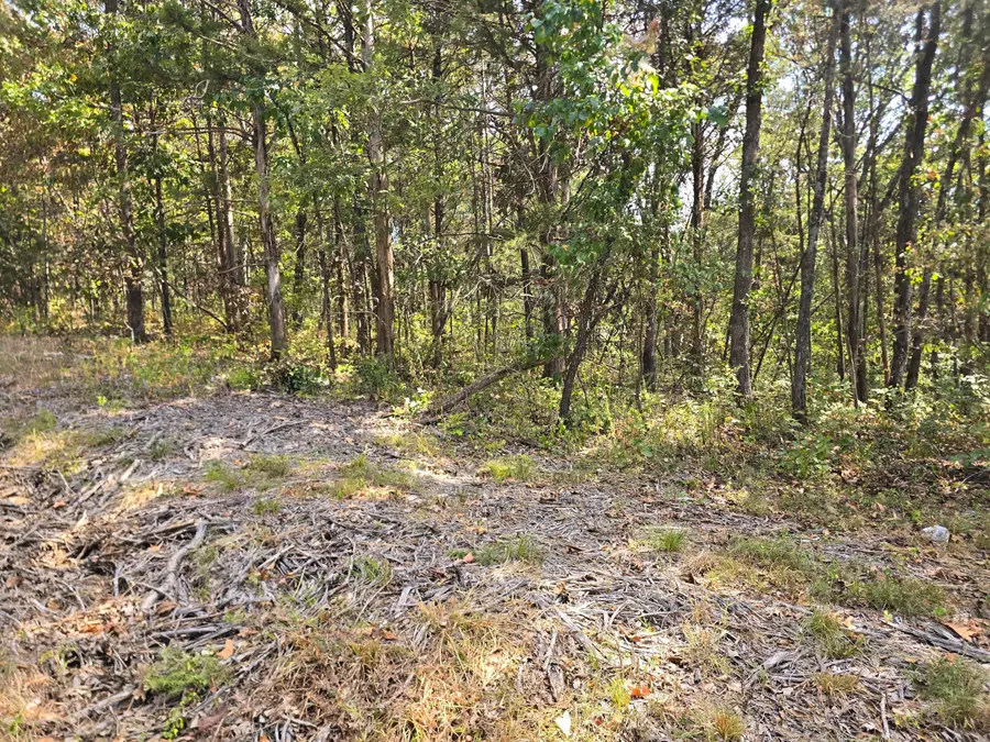 21762 Ash Street, Pittsburg, MO 65724 - #2
