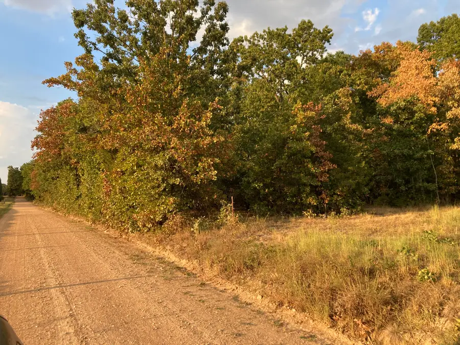4134 Hatfield Road, Norwood, MO 65717 - #3