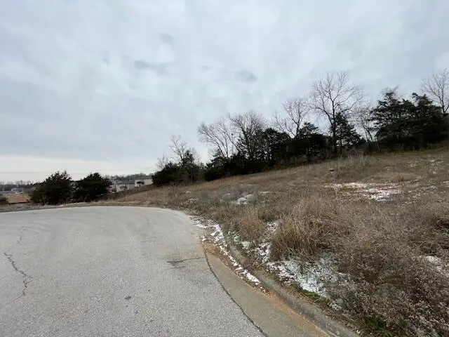 1408-1410 S Tree Top Court, Ozark, MO 65721 - #2