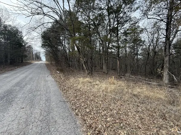 130, 131 Turkey Mountain Estates #2, Abesville, MO 65656