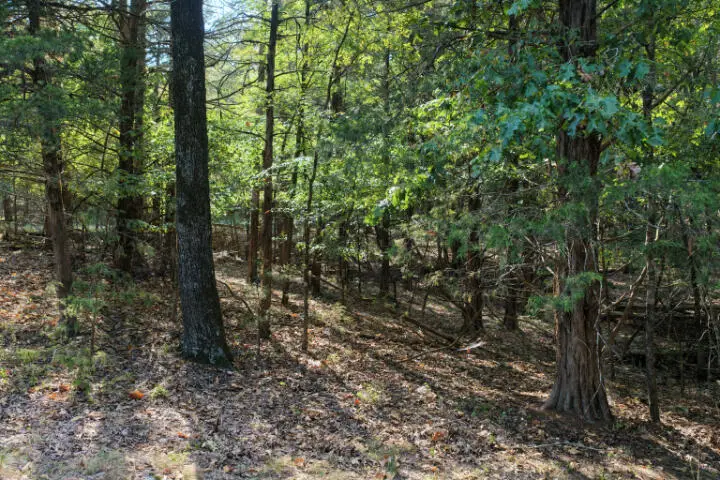 000 Lazy Acres Road, Protem, MO 65733 - #2