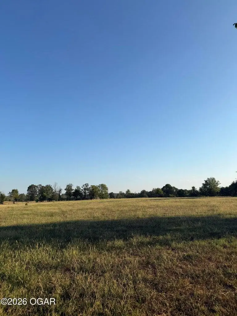 9179 State Highway Cc, Stella, MO 64867 - #2