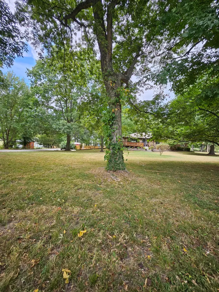 6333 S State Highway 125, Rogersville, MO 65742 - #2