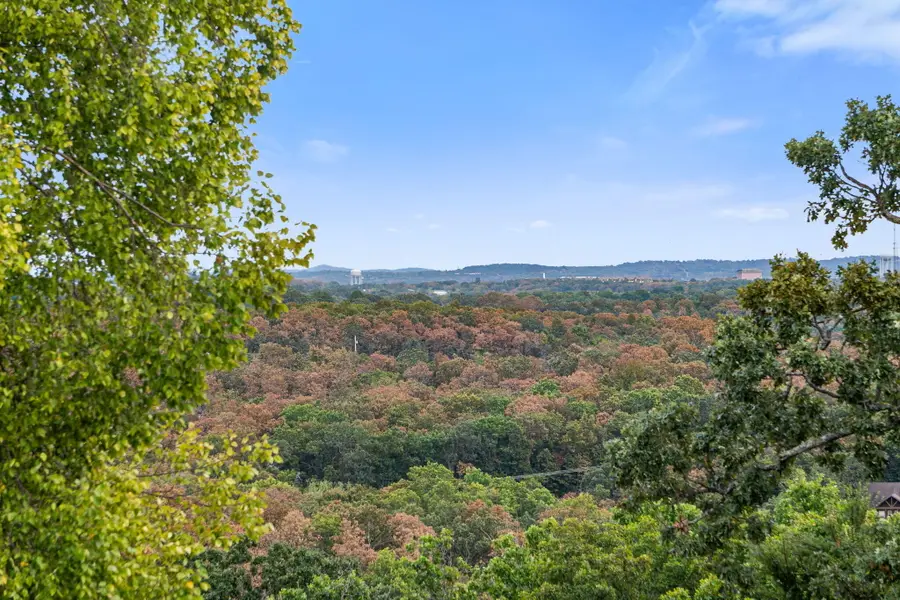 56 Mountain View Court, Branson West, MO 65737 - #3