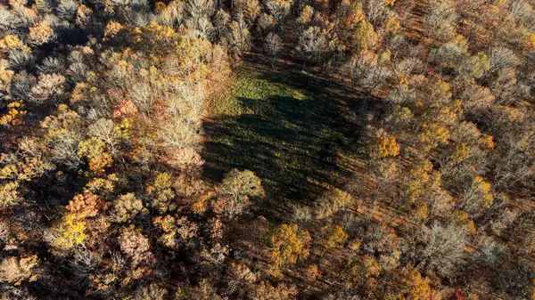 2112 County Road 348, Thayer, MO 65791