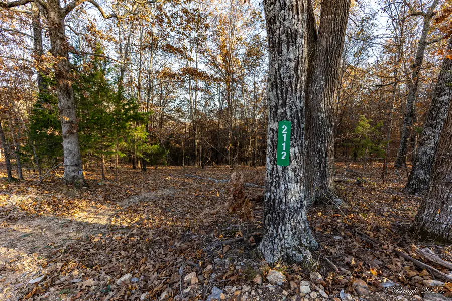 2112 County Road 348, Thayer, MO 65791 - #2