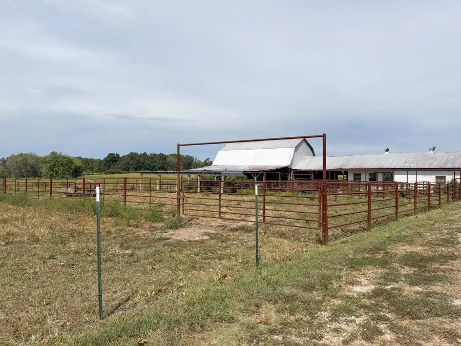 1869 Wall Road, Mountain Grove, MO 65711 - #3