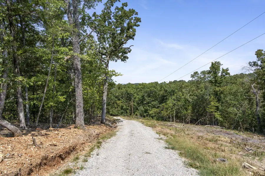 Lot 4 Cedar Bluff Lane, Shell Knob, MO 65747 - #2
