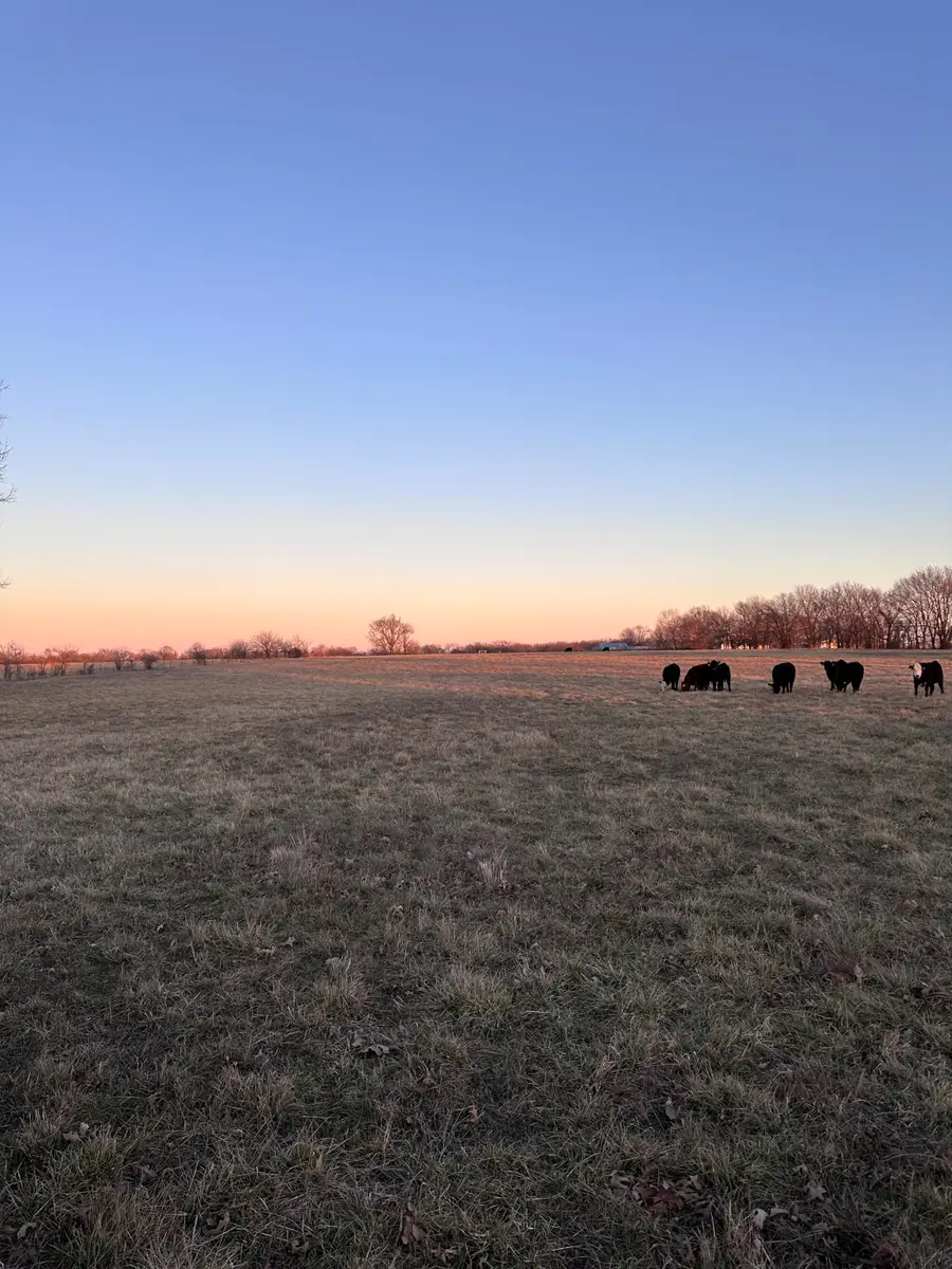 000 Civil War Road, Carthage, MO 64836 - #2