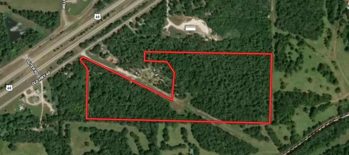Tbd Old Hwy 60 #22-2.0-09-0-000-011.01, Norwood, MO 65717 - #1
