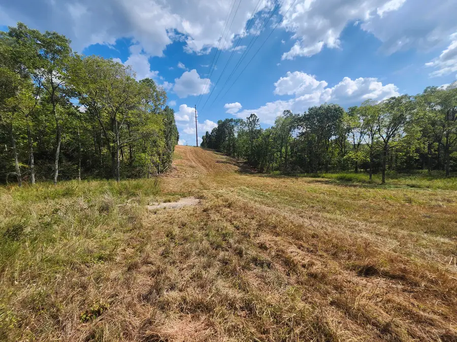 Tbd Old Hwy 60 #22-2.0-09-0-000-011.01, Norwood, MO 65717 - #3