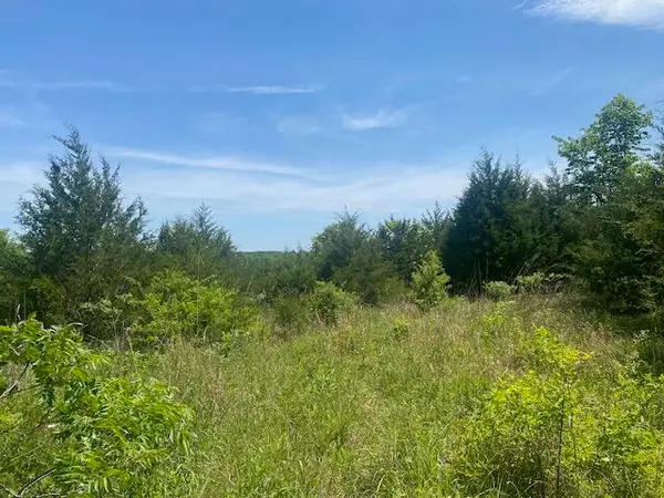 001 Flint Hollow Road, Seymour, MO 65746