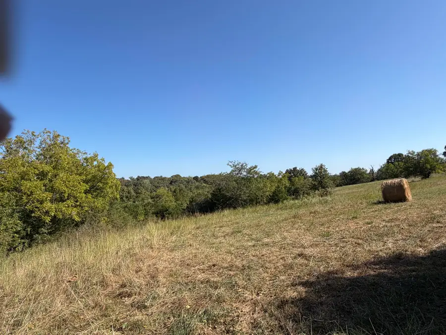 000 Greentown Road, Buffalo, MO 65622 - #3