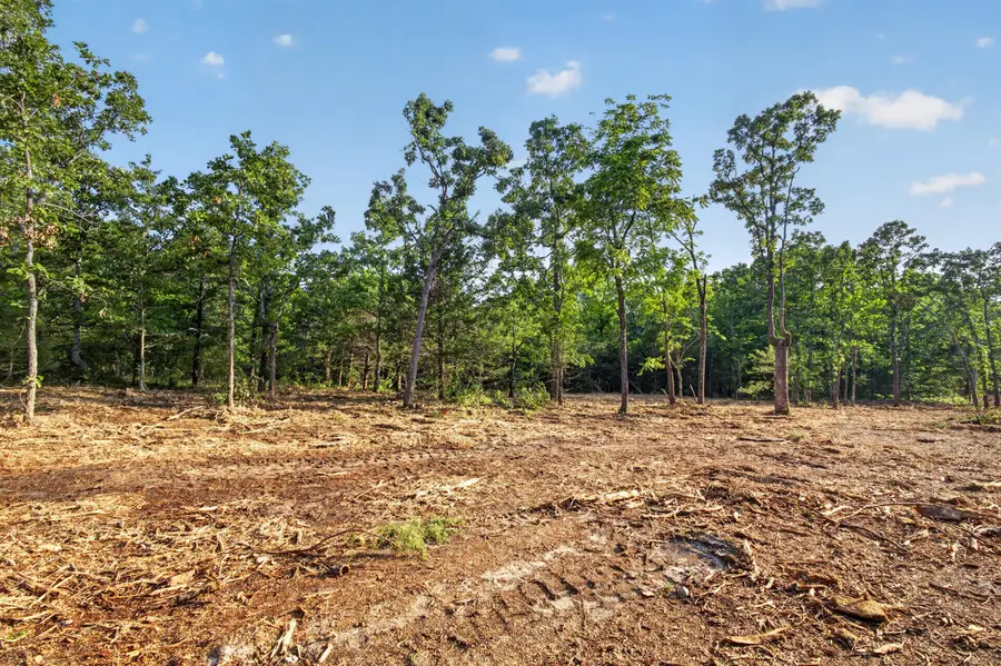 Tbd 005 Cantrell Road, Mansfield, MO 65704 - #2