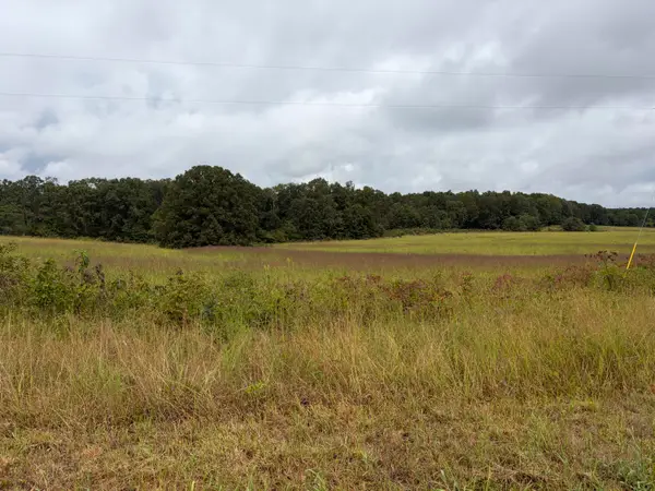 22833 Missouri 19, Alton, MO 65606