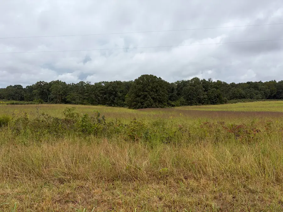 22833 Missouri 19, Alton, MO 65606 - #3
