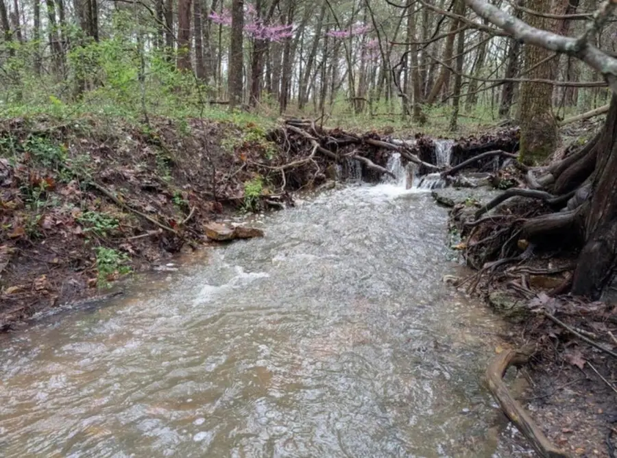 000 Honey Creek Drive #Lot 4, Strafford, MO 65757 - #3