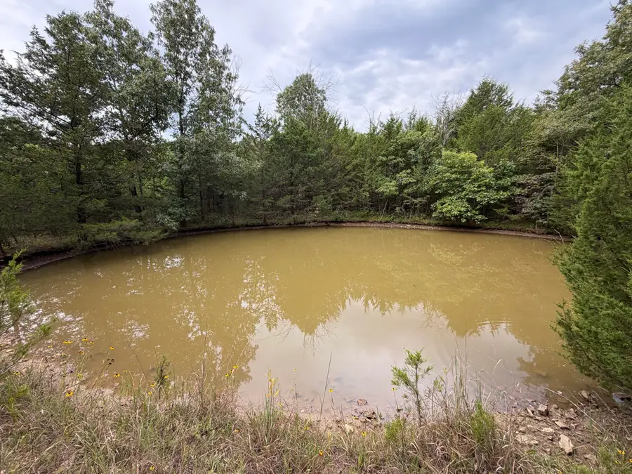 000 County Road 316, Urbana, MO 65767 - #3