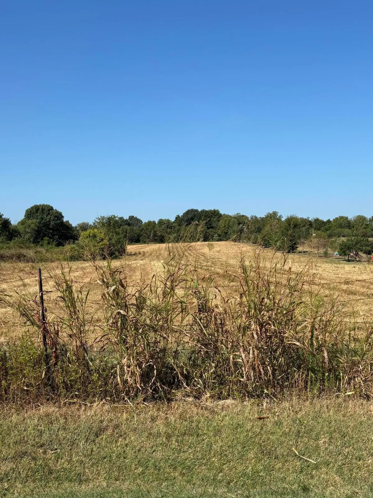 Address Withheld By Seller, Bois D Arc, MO 65612 - #1