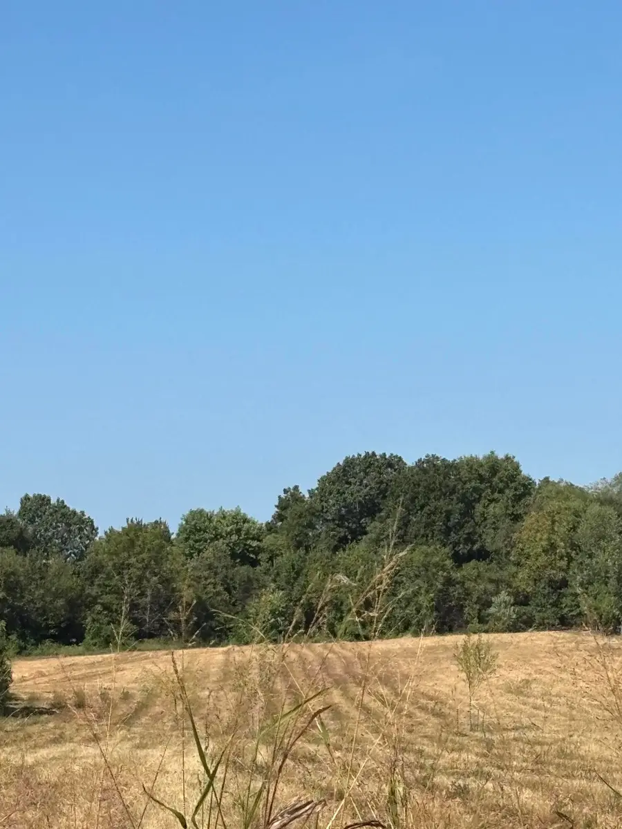 Address Withheld By Seller, Bois D Arc, MO 65612 - #2
