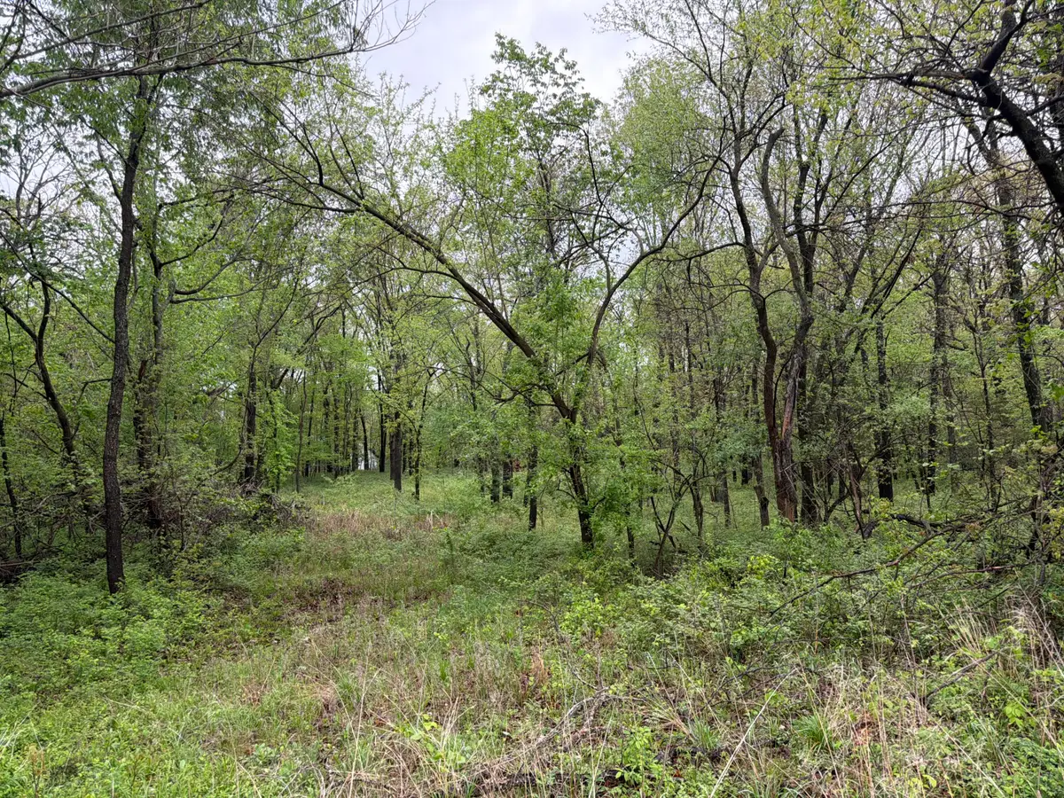Tract 2 Ivy Road #10903200000018001, Carthage, MO 64836 - #1