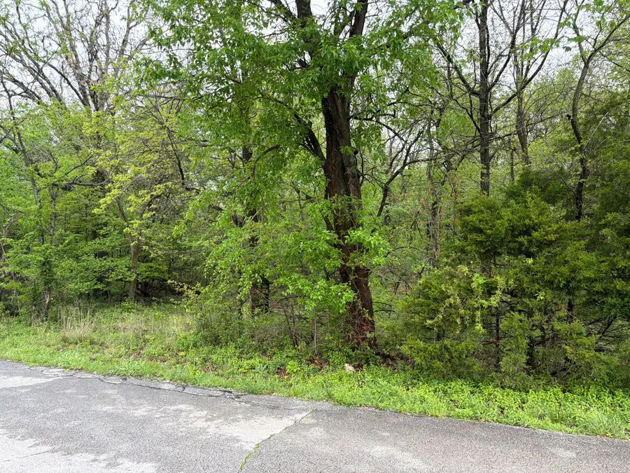 Tract 2 Ivy Road #10903200000018001, Carthage, MO 64836 - #2