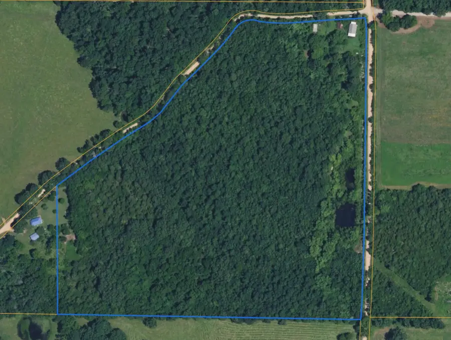 960 County Road 412, Alton, MO 65606 - #2