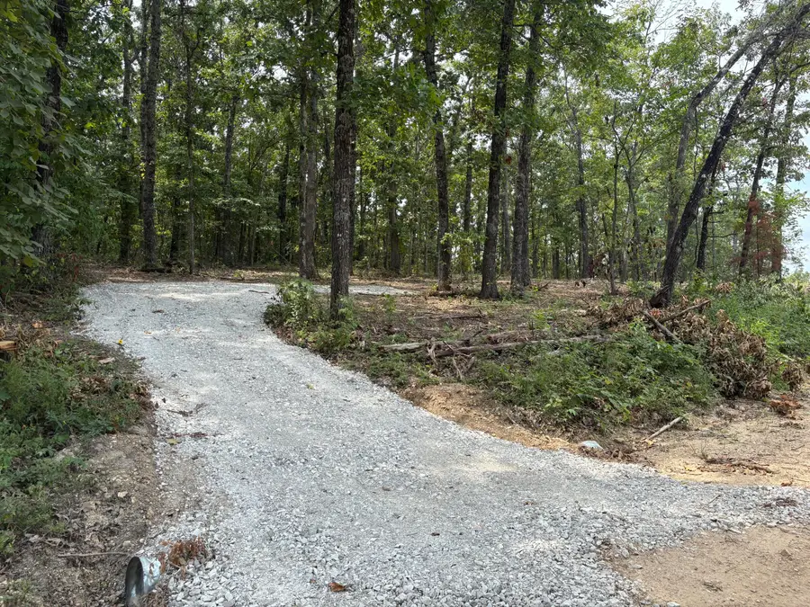 Tbd 006 Cantrell Road, Mansfield, MO 65704 - #2