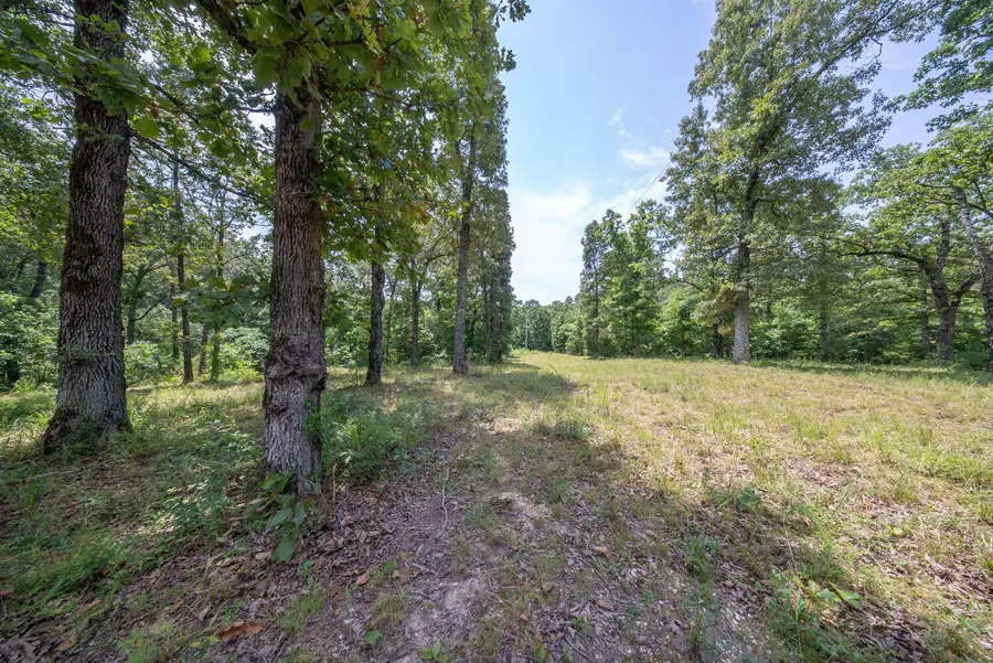 32312 U.s. Highway 160, Alton, MO 65606 - #3