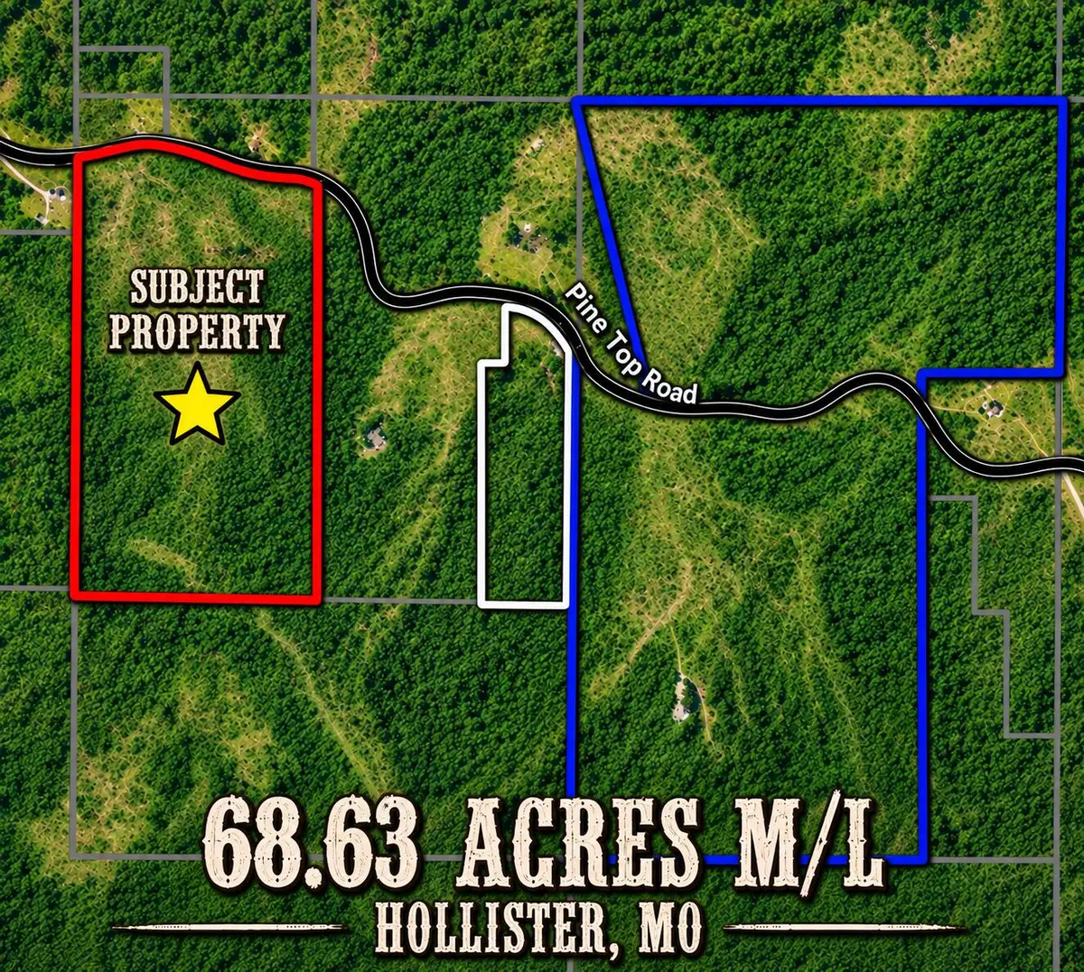 000 Pine Top Road, Hollister, MO 65672 - #1