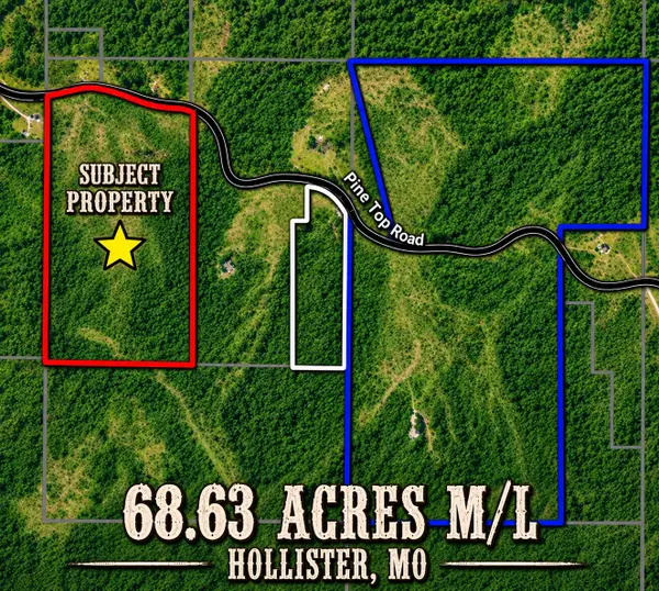 000 Pine Top Road, Hollister, MO 65672