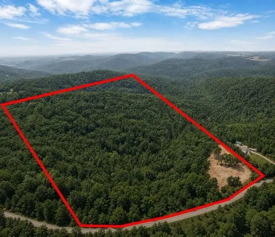 000 Pine Top Road, Hollister, MO 65672 - #2