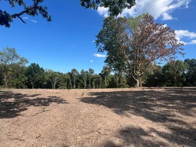 000 Pine Top Road, Hollister, MO 65672 - #3