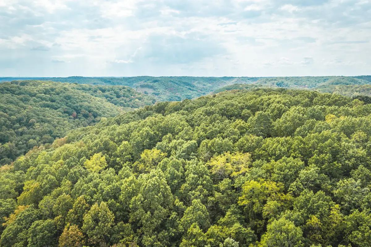 1190 Old Us Highway 160, Reeds Spring, MO 65737 - #1