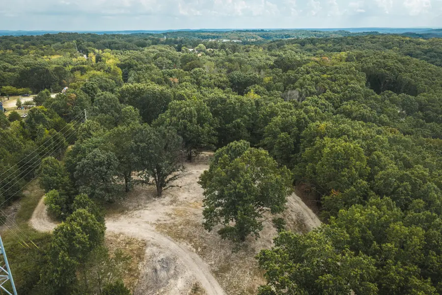 1190 Old Us Highway 160, Reeds Spring, MO 65737 - #2