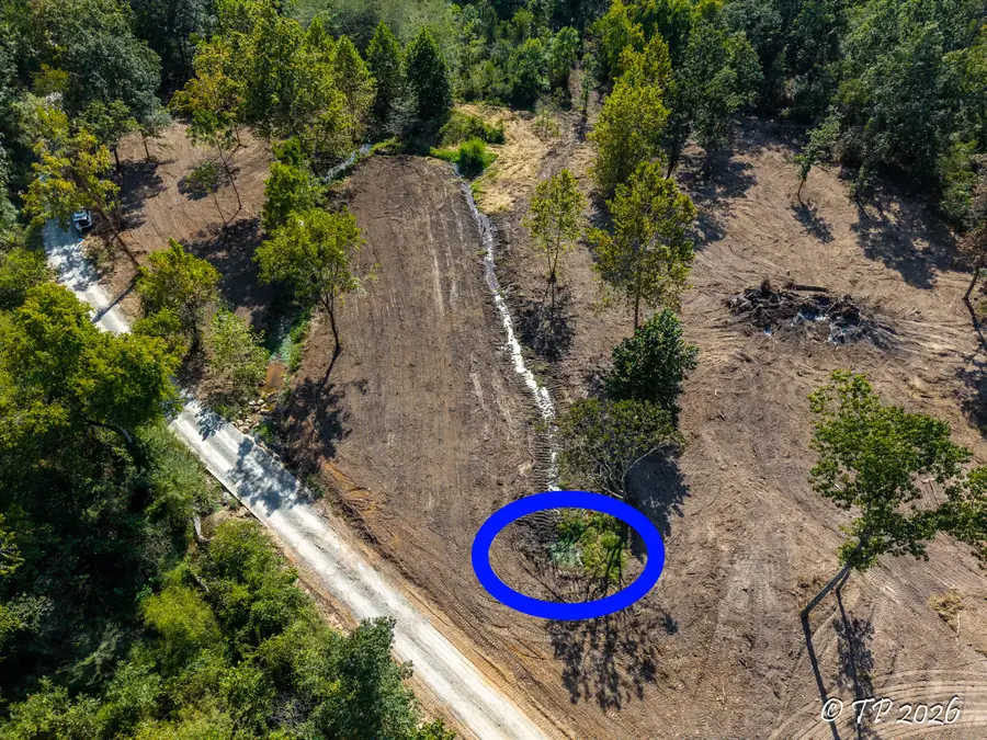 000 County Road 6810, West Plains, MO 65775 - #2