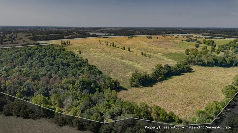 000 N State Route W, Granby, MO 64844 - #2