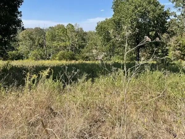0 Lane Branch Road, Hurley, MO 65675