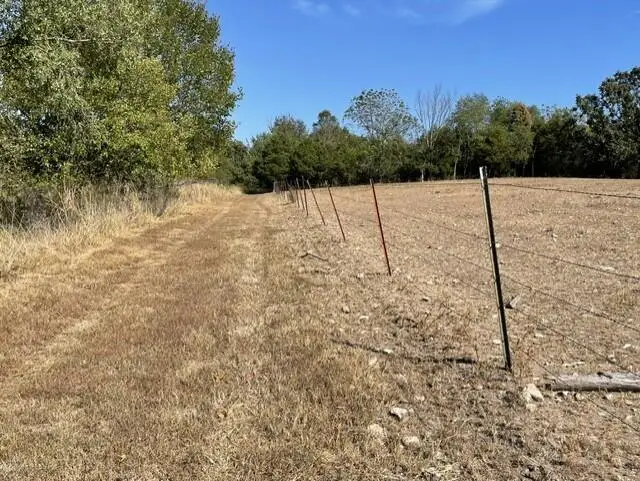 0 Lane Branch Road, Hurley, MO 65675 - #2