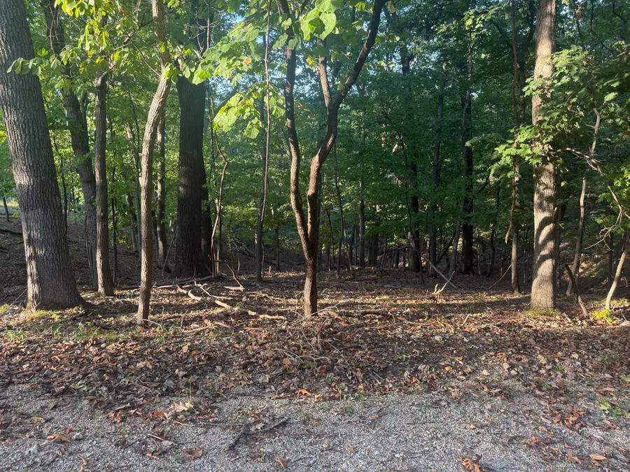 000 Lake Road, Sunrise Beach, MO 65079 - #2