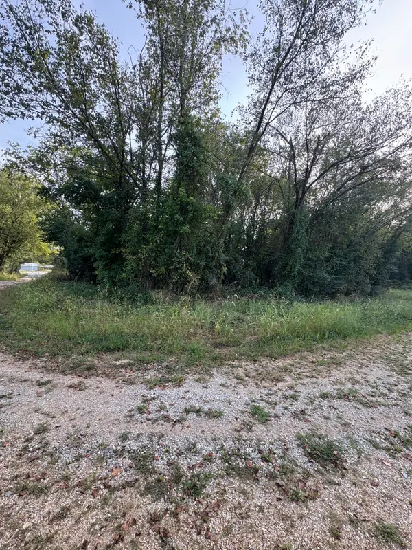 000 County Road 203, Couch, MO 65690
