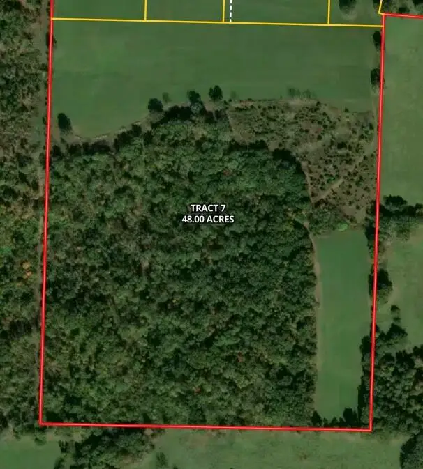000 Highway 5, Hartville, MO 65667 - #2