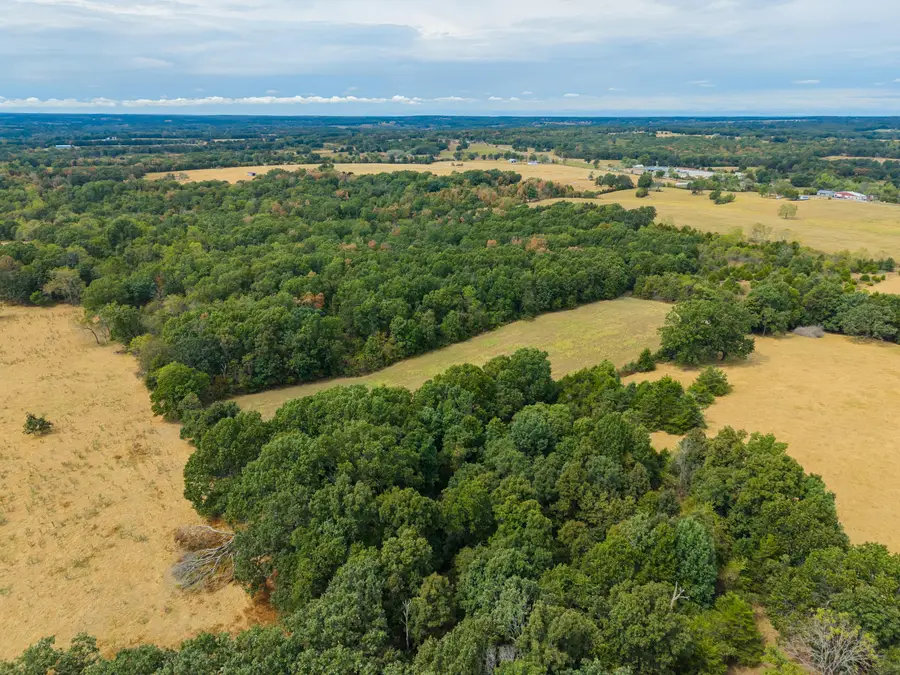000 Highway 5, Hartville, MO 65667 - #3