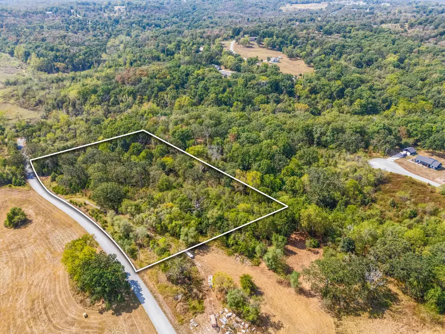1861 Oremus Road, Forsyth, MO 65653 - #3