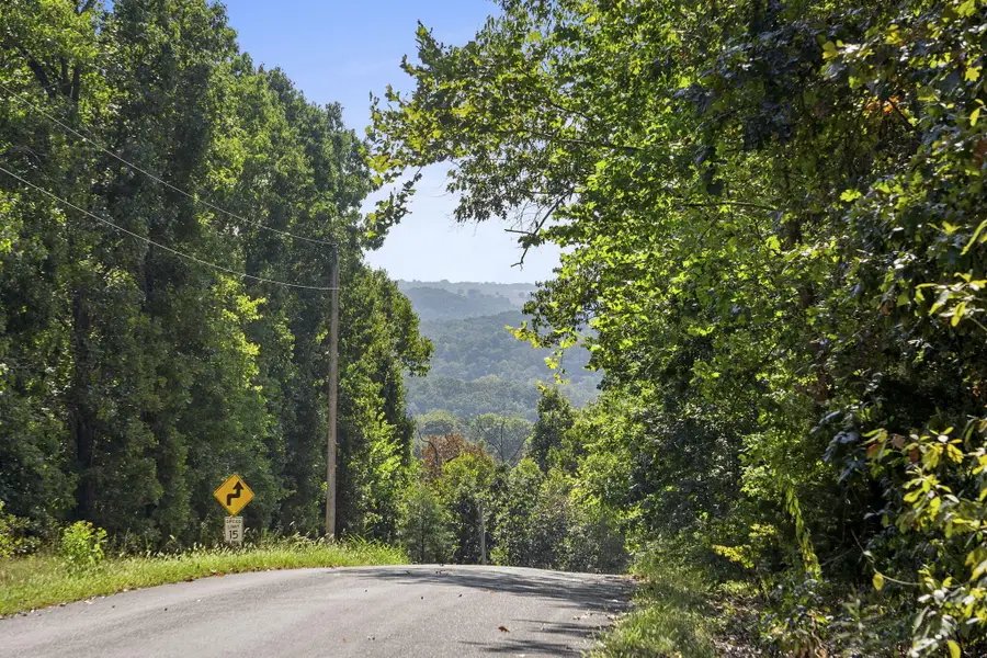 Lot 120 Walnut Springs Drive, Cape Fair, MO 65624 - #3